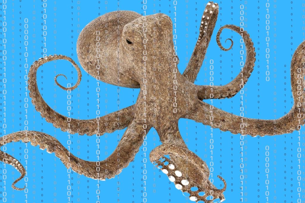 Image of an octopus, extending its tentacles in multiple directions.